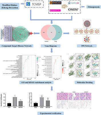 Network Pharmacological Study on Mechanism of the Therapeutic Effect of Modified Duhuo Jisheng Decoction in Osteoporosis